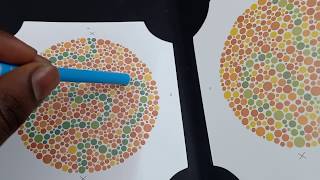 Colour Blindness Test for ALP Guard Station Master etc in Railway [upl. by Angeline]