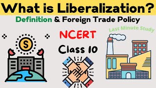 Liberalization  Globalization and the Indian Economy  Class 10 Economics Ch4 Notes [upl. by Attaynek708]