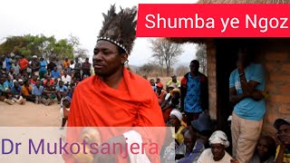 Shumba yengozi Sekuru Mukotsanjera Kuripwa Kwengozi [upl. by Eiclehc]