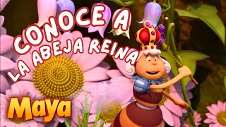 CONOCE A LA ABEJA REINA DE LA COLMENA🐝👑 MEJORES CAPÍTULOS DE MAYA para niños en ESPAÑOL 🐝 [upl. by Friederike]