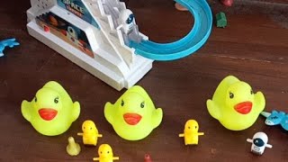 Live happy Duck shortslive shortfeed funny [upl. by Lucas740]