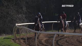 Cheltenham Festival Stable Tour Andrew Gemmell amp Paisley Park [upl. by Harpp]