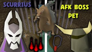 How to Completely AFK The Easiest Boss Pet in Runescape Scurrius [upl. by Thielen]