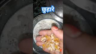 पंचामृतचरणामृत बनाने की विधि। पुजा के लिए पंचामृत कैसे बनायें ।panchamrit recipe [upl. by Ginsburg]