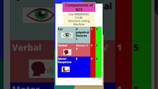 Glasgow Coma Scale Made Easy with Mnemonics amp Tricks gcs mbbs neetpgpreperation mnemonic shorts [upl. by Aidil]