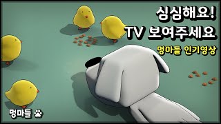 반려견이 집중하는 모습을 볼 수 있어요  병아리 밥주기 영상  Video of feeding chicks [upl. by Veno978]