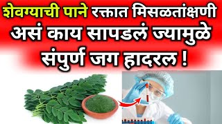 शेवग्याच्या पानाचे नविन गुणधर्म ज्यामुळे पुर्ण जग हैराणbest healthy foodgrainsmilletsin marathi [upl. by Vary]