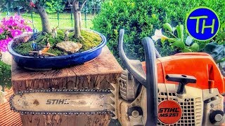 Beautiful Bonsai Woodwork Stand DIY with STIHL 251 Chainsaw [upl. by Aran]