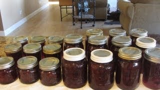 How to Make Plum Jam For The Pantry [upl. by Linad]