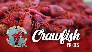 Crawfish Prices– May 19 2023 [upl. by Enoid]