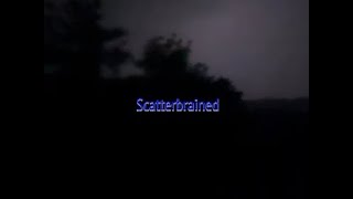 Scatterbrained  Short film [upl. by Annmarie344]