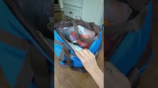 WATCH BEFORE PURCHASE Rachael Ray Chillout Insulated Tote Bag ad [upl. by Fernande]