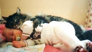 Cats and babies cuddling – Cute cat and baby compilation [upl. by Jameson]