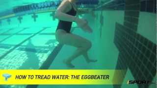 How to Tread Water in Swimming The Eggbeater [upl. by Levi]