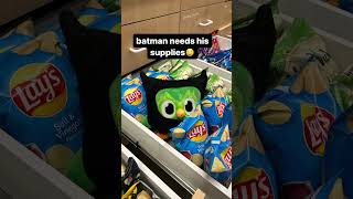 FOR GOTHAM🦇🦇funny duolingo batman languagelearning [upl. by Ayojal883]