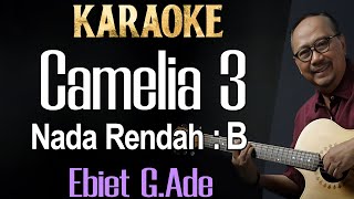 Camelia 3 Karaoke Ebiet G Ade Nada Rendah pria Cowok Low male key B [upl. by Ettesus]