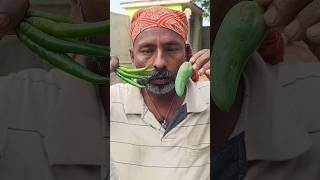 Spicy mirchi ka nashta 🥵🥵🌶️🌶️💔💔😭😭🙏🙏shortvideo youtubeshorts song music yt sadsong funny [upl. by Dnaltiak86]