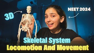 Skeletal System with 3D Model Locomotion and Movement  NEET 2024 Class 11 [upl. by Elna]