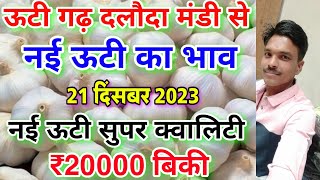 Dalauda mandi new ooty garlic rate today 21 दिसंबर 2023 new garlic rate nai lahsun ka bhav [upl. by Gnud]