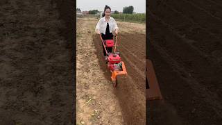 Mini Plough Machine Unbelievable Speed  Agriculture Equipment  shorts ploughmachine [upl. by Treve]