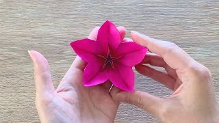 Origami Flower  Cherry Blossom in less than 10 minutes 🌸 [upl. by Enwahs159]