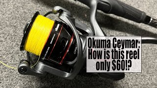 Okuma Ceymar Spinning Reel How is this reel only 60 [upl. by Ainegue]