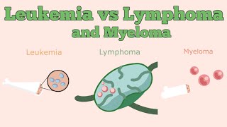 Leukemia vs Lymphoma vs Myeloma [upl. by Airakaz240]