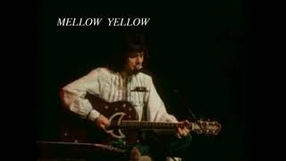 Donovan  Mellow Yellow København 1975 [upl. by Botti]