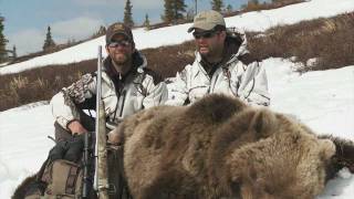 SOA Alaskan Brown Bear [upl. by Renell]