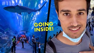 Jumping inside a Shark Tank For Real [upl. by Eyot]