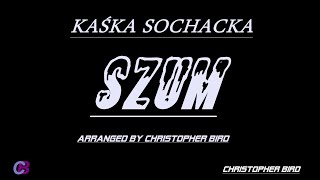 KAŚKA SOCHACKA  SZUM KARAOKEINSTRUMENTALarranged by Christopher Bird [upl. by Enniroc992]