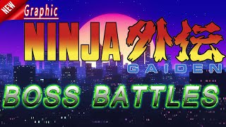 Ninja Gaiden 1 Nes boss battles no death [upl. by Ahsimal348]