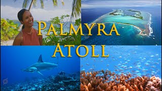 Palmyra Atoll Jewel in the Pacific Marine Sanctuary and Island Paradise [upl. by Uohk]