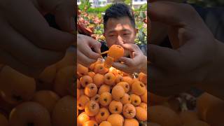 enjoy beautiful fruit 117🍓🍒🍎 trending reels vairalshort vairalvideo shorts short lofi art [upl. by Yzzo]