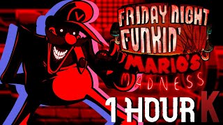 Paranoia  Friday Night Funkin FULL SONG 1 HOUR [upl. by Birkle]