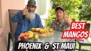 Garden Expert Tastes The Best Mango Varieties [upl. by Xilef]