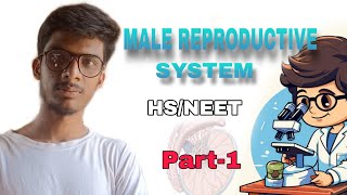 পুং জনন তন্ত্রMale Reproductive System HSNEET [upl. by Fasto]