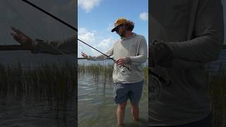 Flats fishing in Texas redfish flyfishing texasfishing [upl. by Cordova]