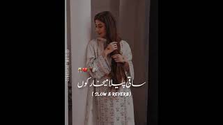 Saqi pila mekhar ko Saraiki song lyrics slowed and reverb Ahmed Nawaz cheena [upl. by Iatnohs]