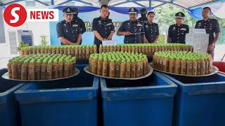 Selangor cops bust largescale ketum processing distribution outfit [upl. by Kiersten]