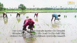 Veda Bharath Natural Farming [upl. by Alenoel118]