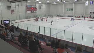 Dearborn Mustangs vs Flint Firebirds Blue  10192024 [upl. by Armilla636]