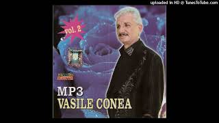 Vasile Conea  Mandrai plina de venin Studio AUDIOTIM anii quot80 [upl. by Llerrit559]