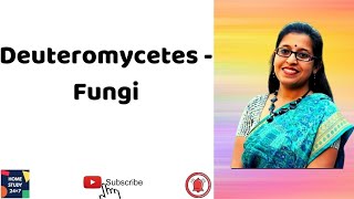 Deuteromycetes  Fungi NCERT based NEET BIOLOGYEnglish amp Bengali Lecture Guide [upl. by Aicenat]