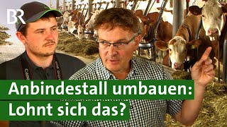 Anbindehaltung vor dem Aus  Bauern in der Klemme Dicht machen oder umbauen  Unser Land  BR [upl. by Rafaela512]