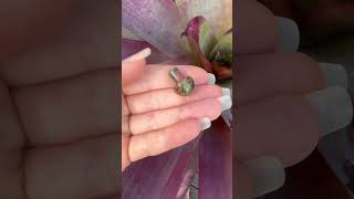 Unakite Mini mushroom for grounding🍄 So cute soul crystals spirituality [upl. by Braden]