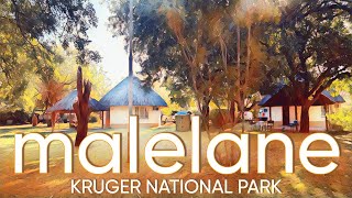 MALELANE  KRUGER NATIONAL PARK A hidden gem where one can really unwind Camps of Kruger Ep 1 [upl. by Pascasia350]