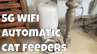 Upgrade your cat feeding life with this WiFi Automatic Feeder [upl. by Christina]