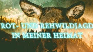 Rot und Rehwildjagd in meiner Heimat [upl. by Swor81]