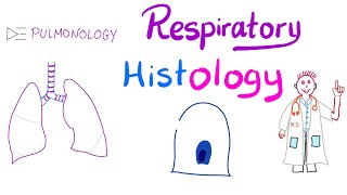 Respiratory Histology  What’s in your lung  Larynx Trachea Bronchi Bronchioles Alveoli [upl. by Nosle]